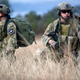 Illustration for article titled Operation Jade Helm Is Not A Military Takeover Of The American Southwest